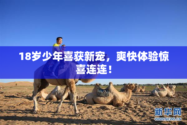 18岁少年喜获新宠，爽快体验惊喜连连！