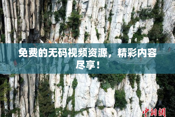 免费的无码视频资源，精彩内容尽享！