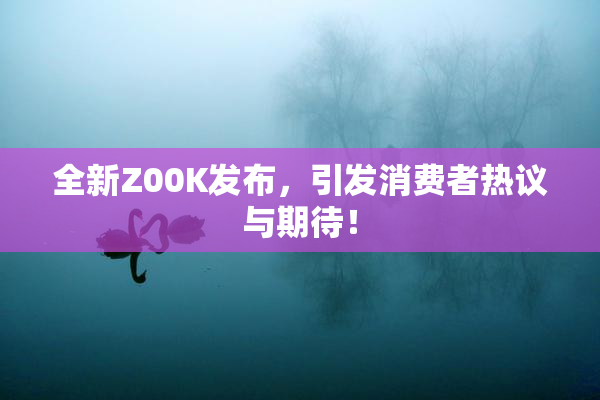 全新Z00K发布，引发消费者热议与期待！