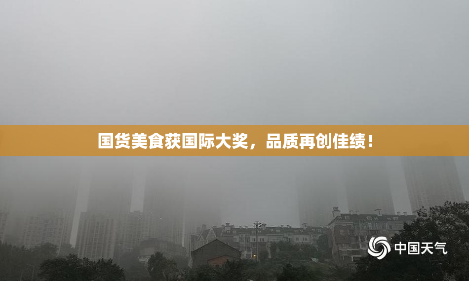 国货美食获国际大奖，品质再创佳绩！