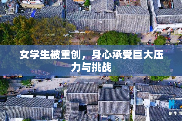 女学生被重创，身心承受巨大压力与挑战