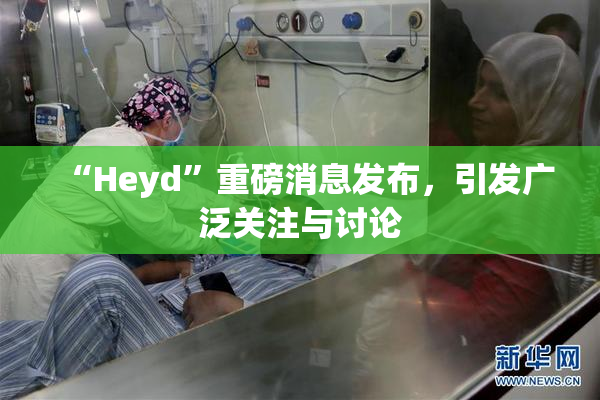 “Heyd”重磅消息发布，引发广泛关注与讨论