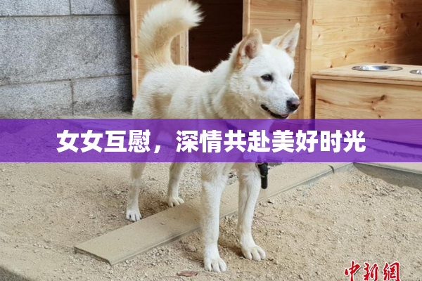 女女互慰，深情共赴美好时光
