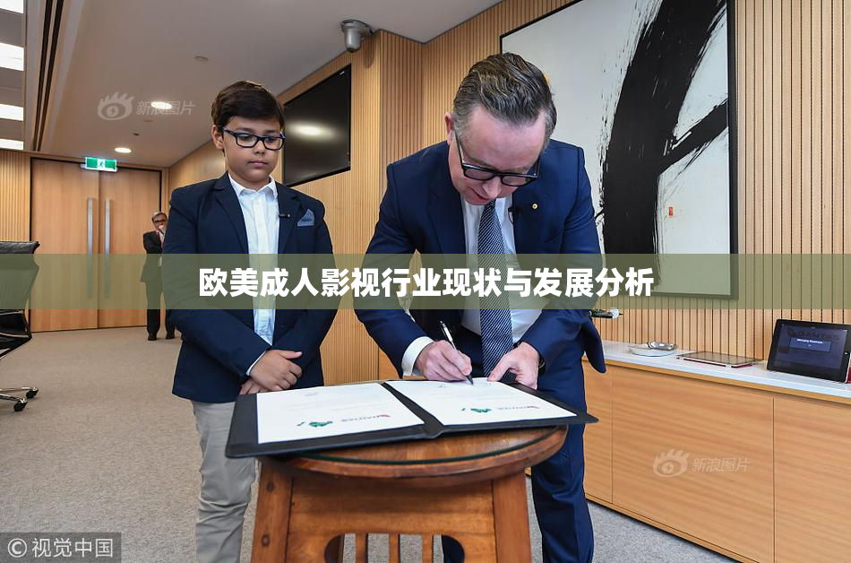 欧美成人影视行业现状与发展分析