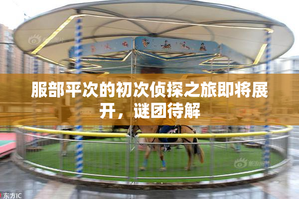 服部平次的初次侦探之旅即将展开，谜团待解
