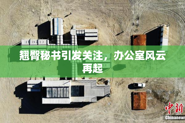 翘臀秘书引发关注，办公室风云再起