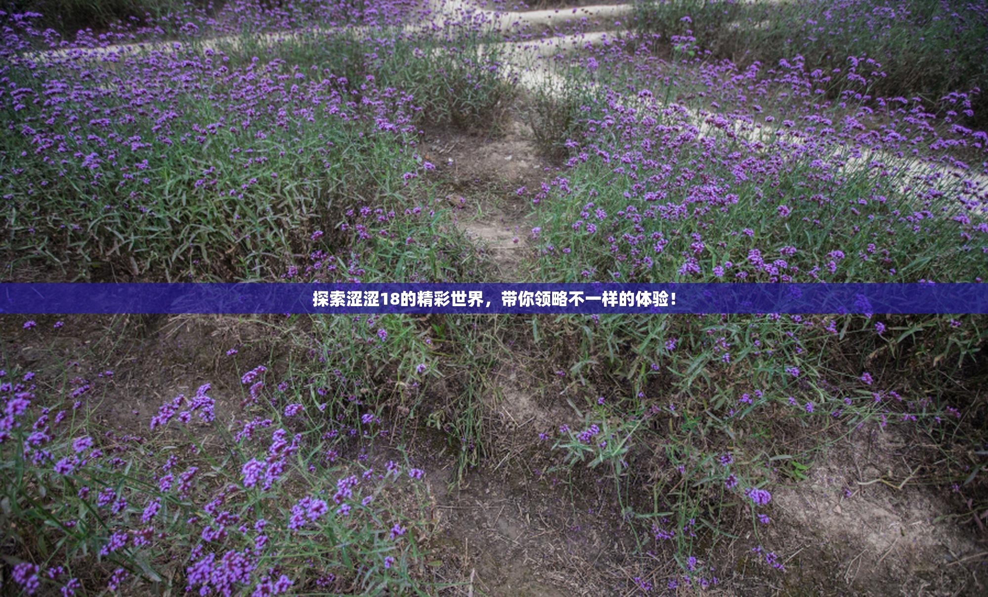 探索涩涩18的精彩世界，带你领略不一样的体验！