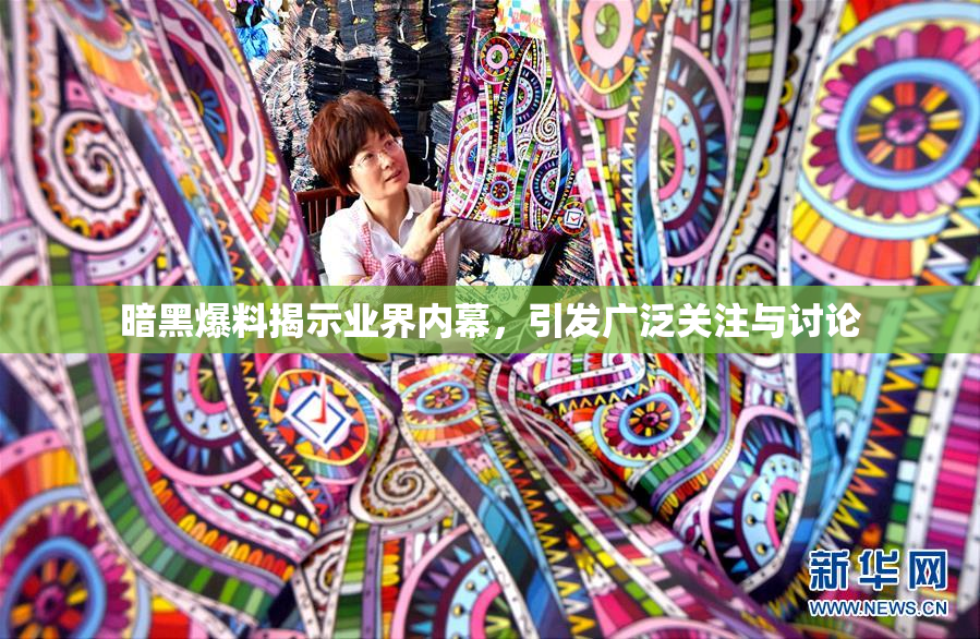 暗黑爆料揭示业界内幕，引发广泛关注与讨论