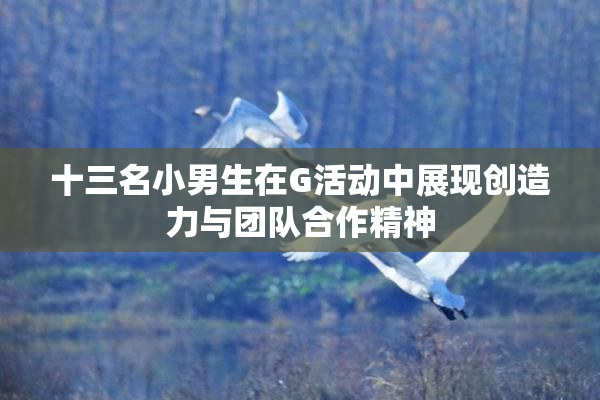 十三名小男生在G活动中展现创造力与团队合作精神