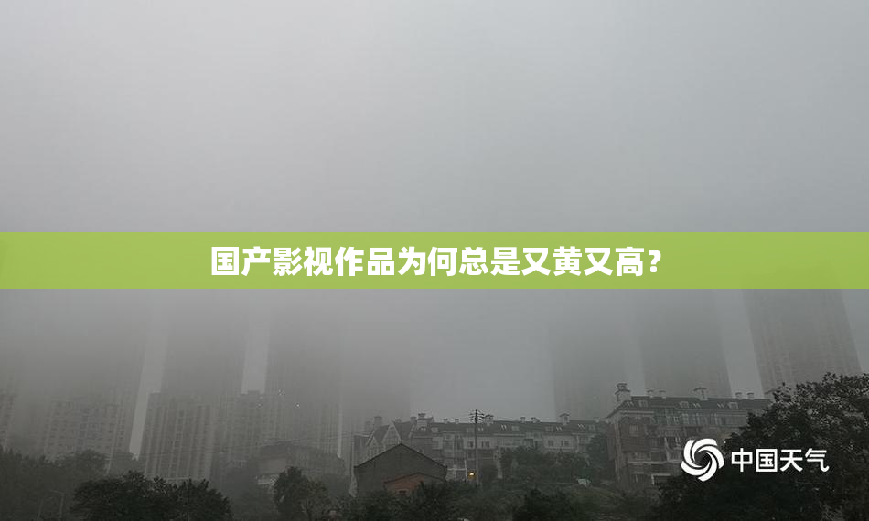 国产影视作品为何总是又黄又高？