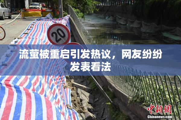 流萤被重启引发热议，网友纷纷发表看法