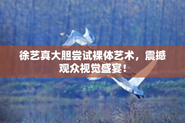 徐艺真大胆尝试裸体艺术，震撼观众视觉盛宴！