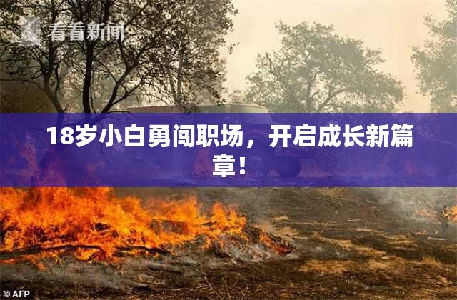 18岁小白勇闯职场，开启成长新篇章！