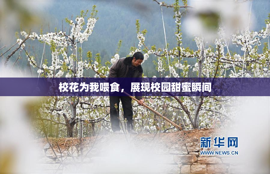 校花为我喂食，展现校园甜蜜瞬间