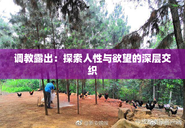调教露出：探索人性与欲望的深层交织