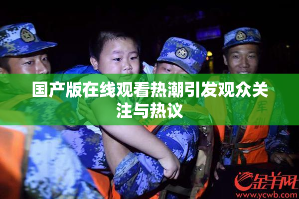 国产版在线观看热潮引发观众关注与热议