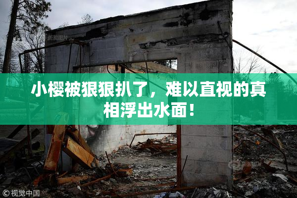 小樱被狠狠扒了，难以直视的真相浮出水面！