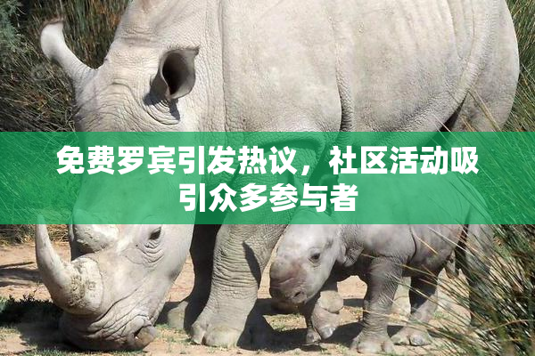免费罗宾引发热议，社区活动吸引众多参与者