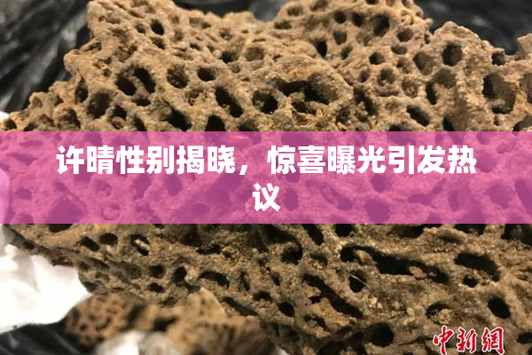 许晴性别揭晓，惊喜曝光引发热议