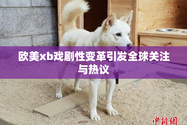欧美xb戏剧性变革引发全球关注与热议