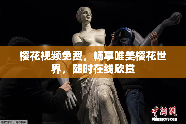 樱花视频免费，畅享唯美樱花世界，随时在线欣赏