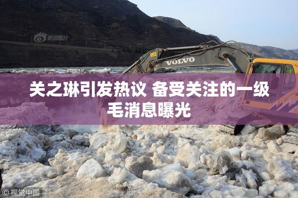 关之琳引发热议 备受关注的一级毛消息曝光