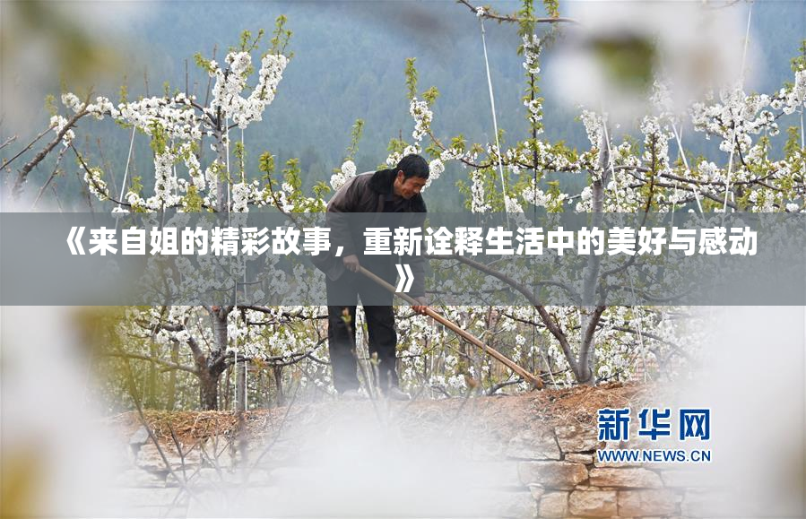 《来自姐的精彩故事，重新诠释生活中的美好与感动》