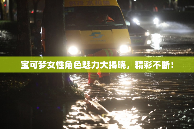 宝可梦女性角色魅力大揭晓，精彩不断！