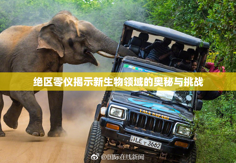 绝区零仪揭示新生物领域的奥秘与挑战