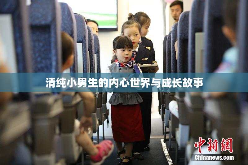 清纯小男生的内心世界与成长故事