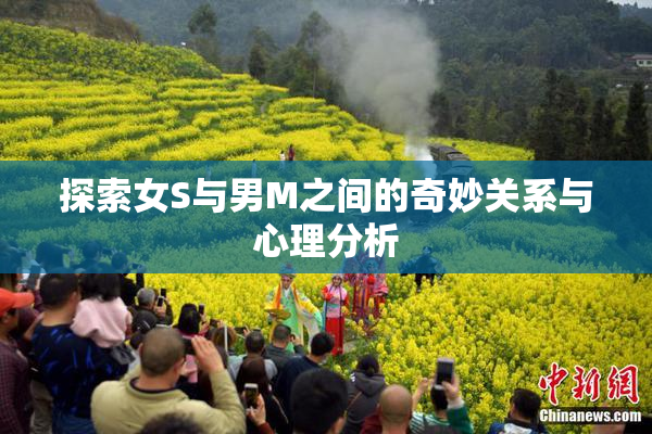 探索女S与男M之间的奇妙关系与心理分析