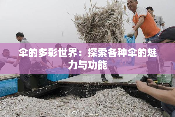 伞的多彩世界：探索各种伞的魅力与功能