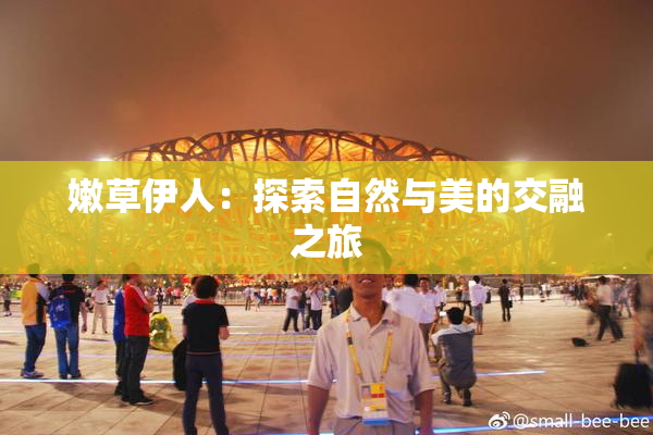 嫩草伊人：探索自然与美的交融之旅