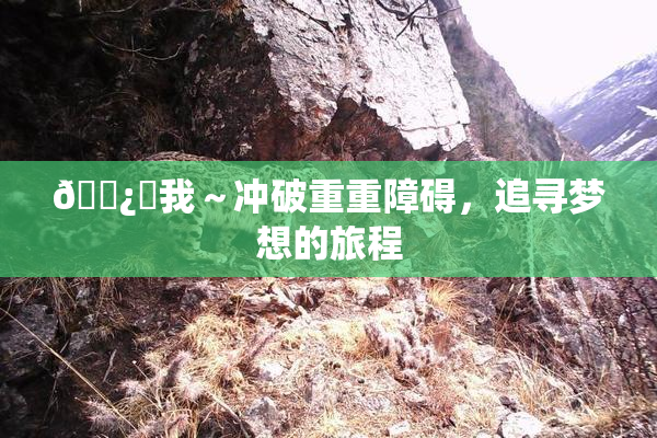 🌿‌我～冲破重重障碍，追寻梦想的旅程