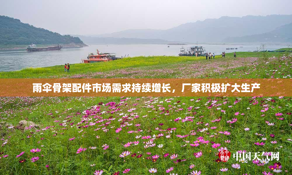 雨伞骨架配件市场需求持续增长，厂家积极扩大生产