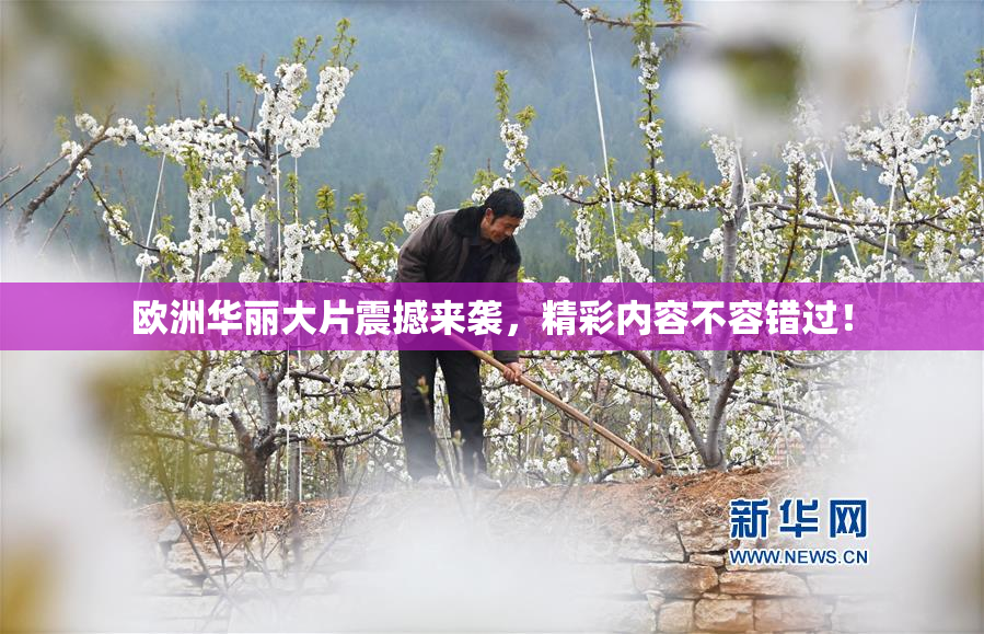 欧洲华丽大片震撼来袭，精彩内容不容错过！