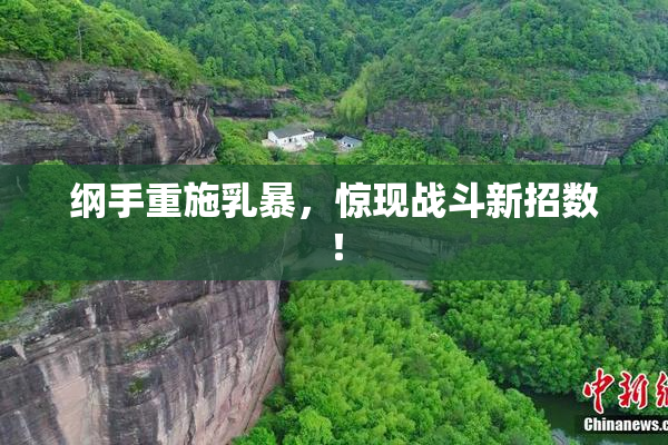 纲手重施乳暴，惊现战斗新招数！