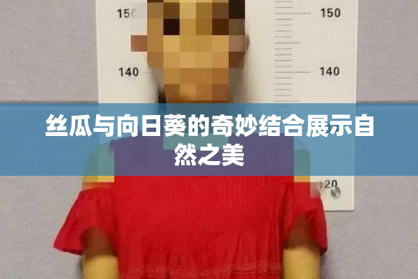 丝瓜与向日葵的奇妙结合展示自然之美