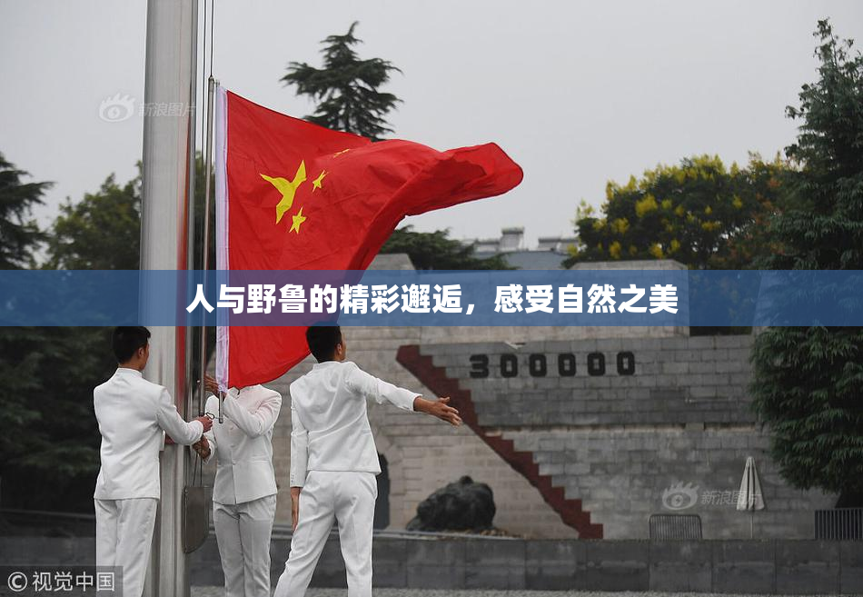 人与野鲁的精彩邂逅，感受自然之美