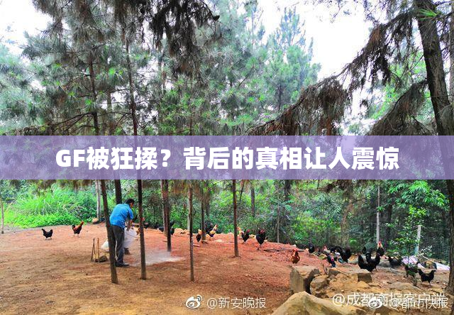 GF被狂揉？背后的真相让人震惊