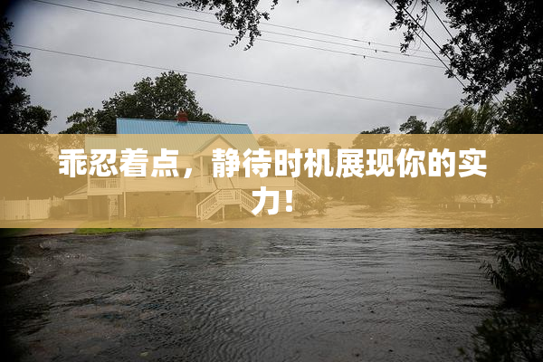 乖忍着点，静待时机展现你的实力！