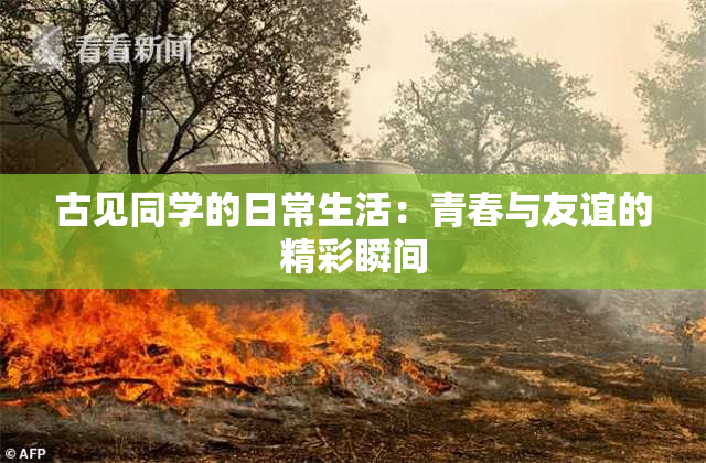 古见同学的日常生活：青春与友谊的精彩瞬间