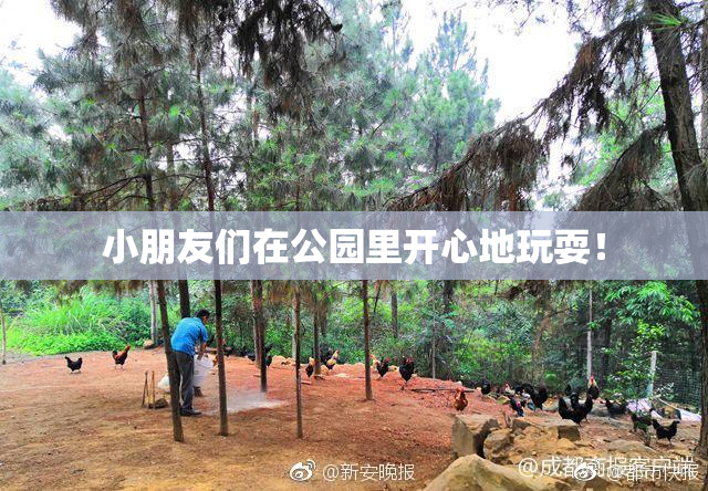 小朋友们在公园里开心地玩耍！