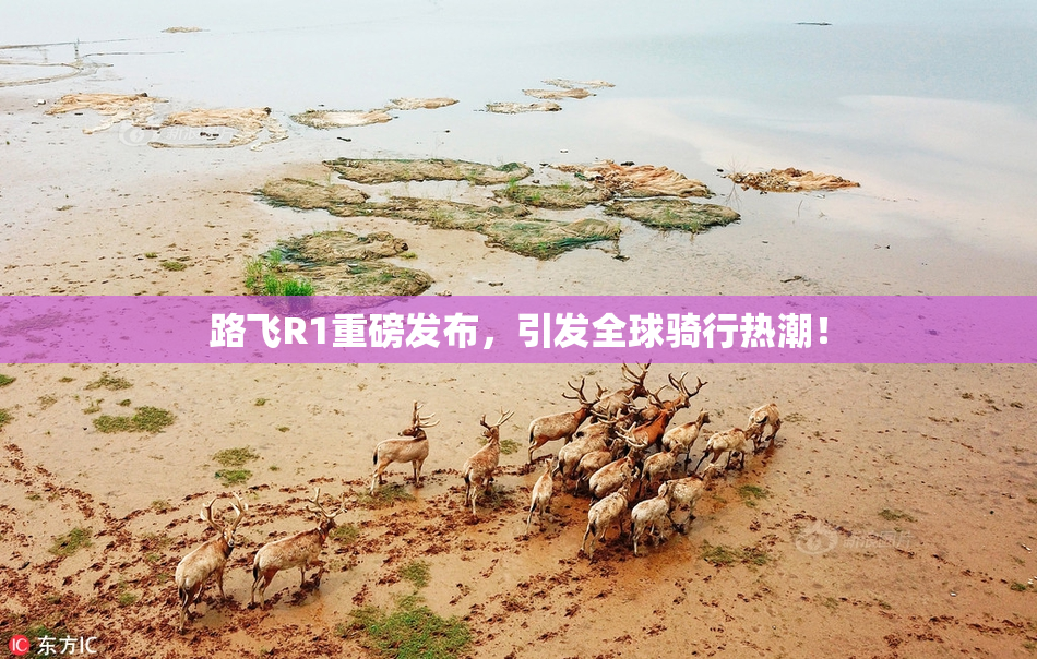 路飞R1重磅发布，引发全球骑行热潮！