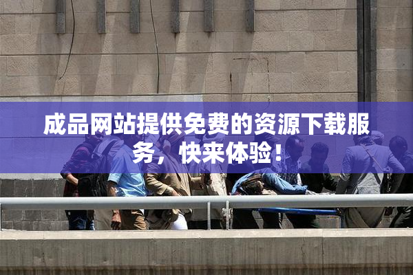 成品网站提供免费的资源下载服务，快来体验！