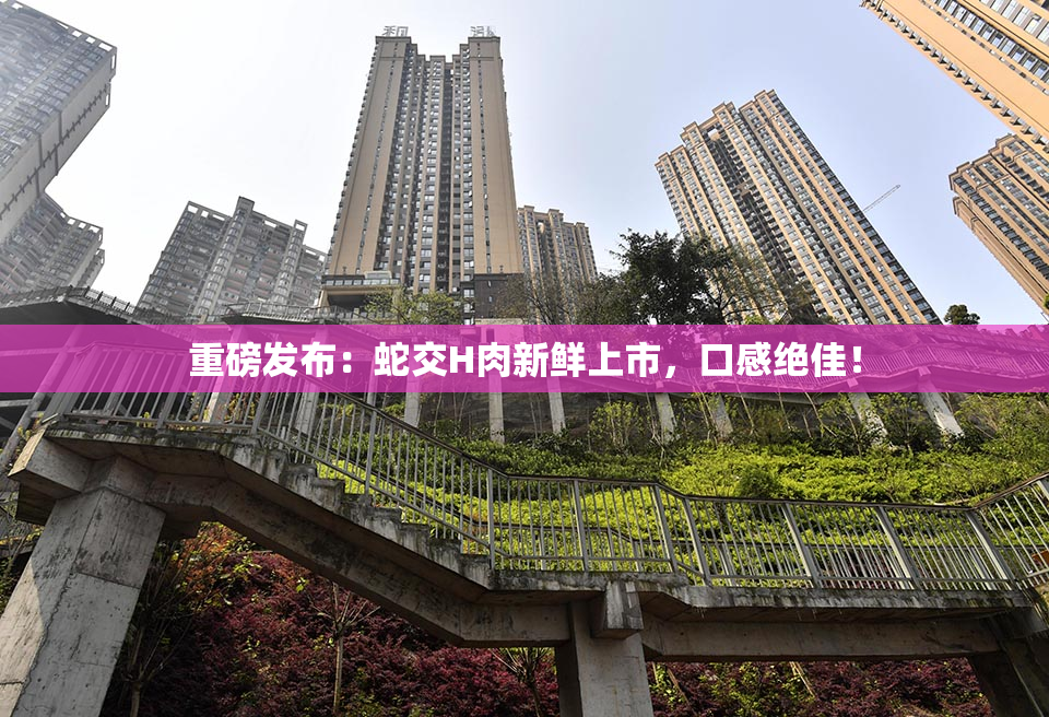 重磅发布：蛇交H肉新鲜上市，口感绝佳！
