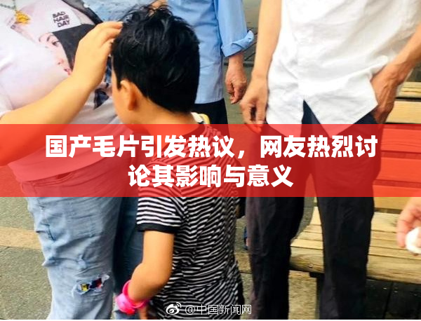 国产毛片引发热议，网友热烈讨论其影响与意义
