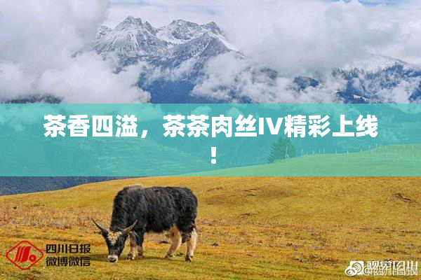 茶香四溢，茶茶肉丝IV精彩上线！