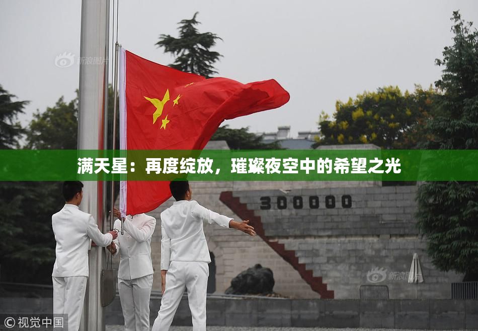 满天星：再度绽放，璀璨夜空中的希望之光