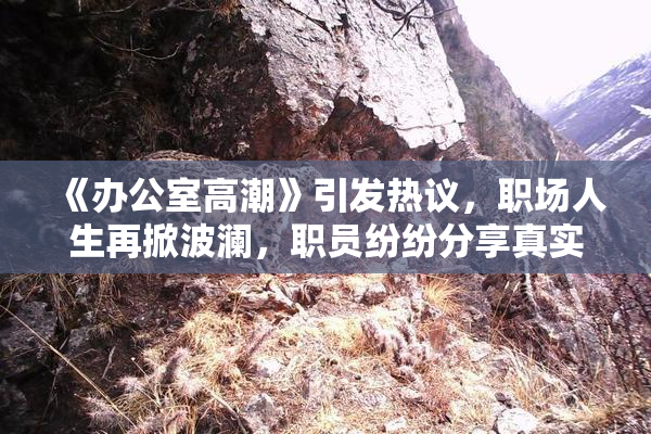 《办公室高潮》引发热议，职场人生再掀波澜，职员纷纷分享真实感受。